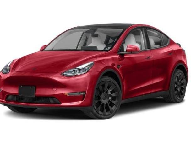 TESLA MODEL Y 2024 7SAYGAEE6RF020005 image